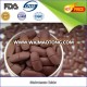 Premium Quality multivitamin tablet